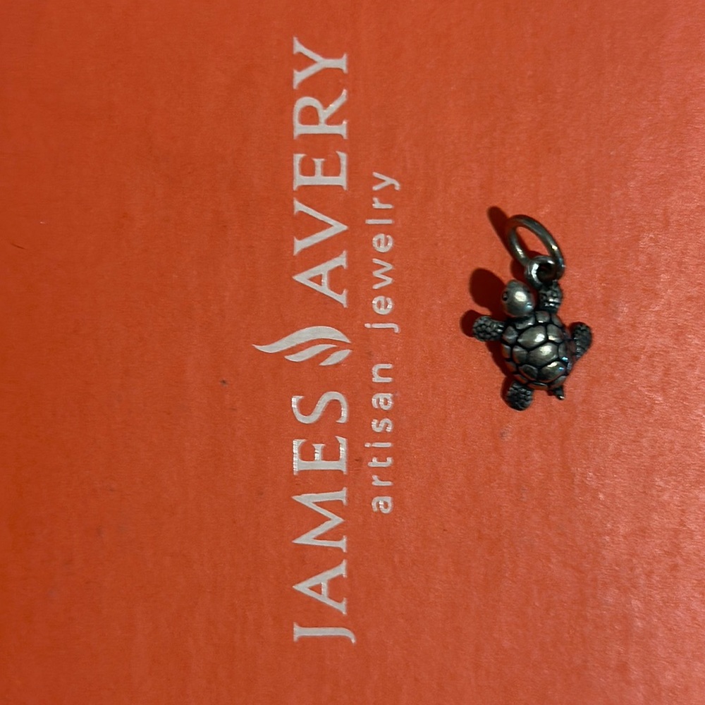 Turtle charm